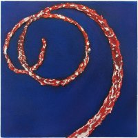 Spiral Whip Coral